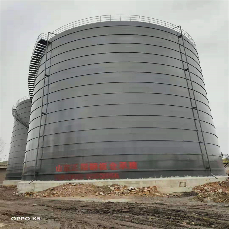 莘县3万吨大型钢板库